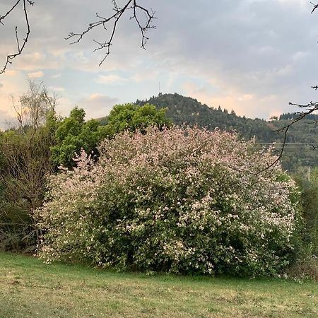 Laragh-On-Hogsback Villa Eksteriør bilde