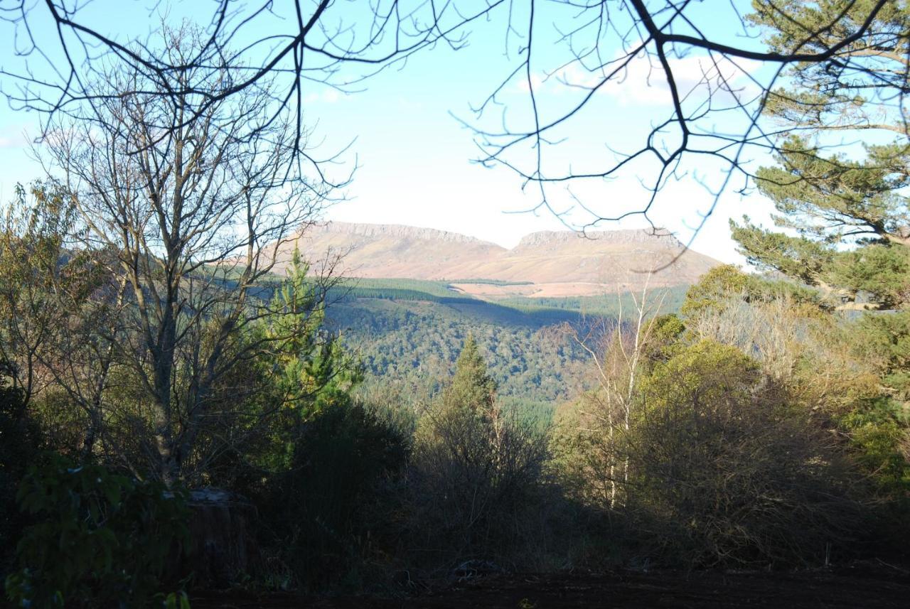 Laragh-On-Hogsback Villa Eksteriør bilde
